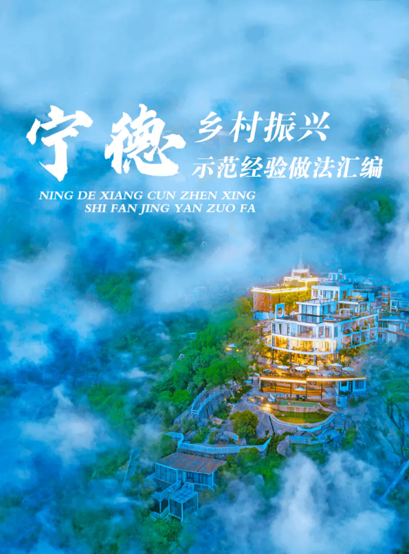 宁德市第二批省级乡村振兴示范乡镇、村经验做法_副本_副本