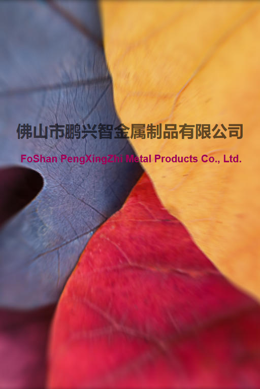 佛山市鹏兴智金属制品有限公司(专业生产拉手、旋钮)