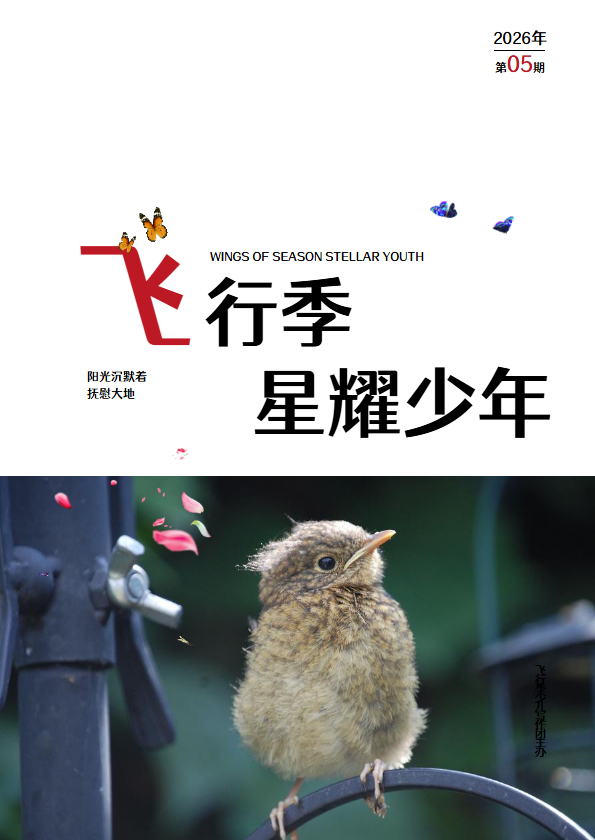 飞行季星耀少年