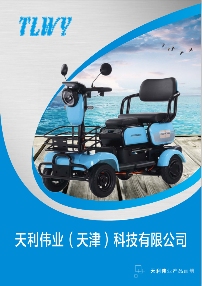 天利伟业，电子彩页