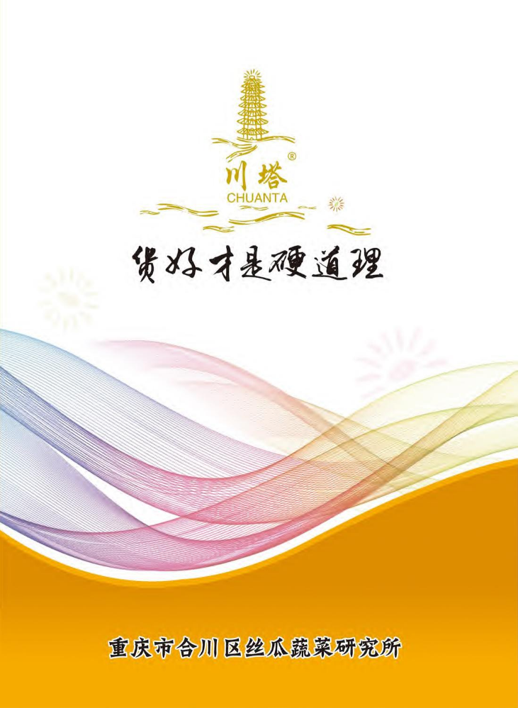 川塔电子画册-电子书