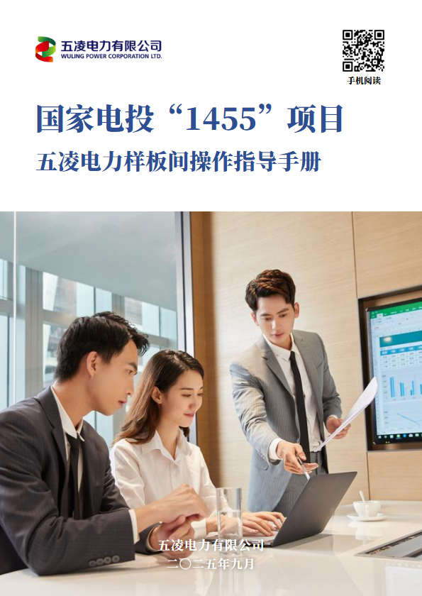 五凌电力操作指导手册