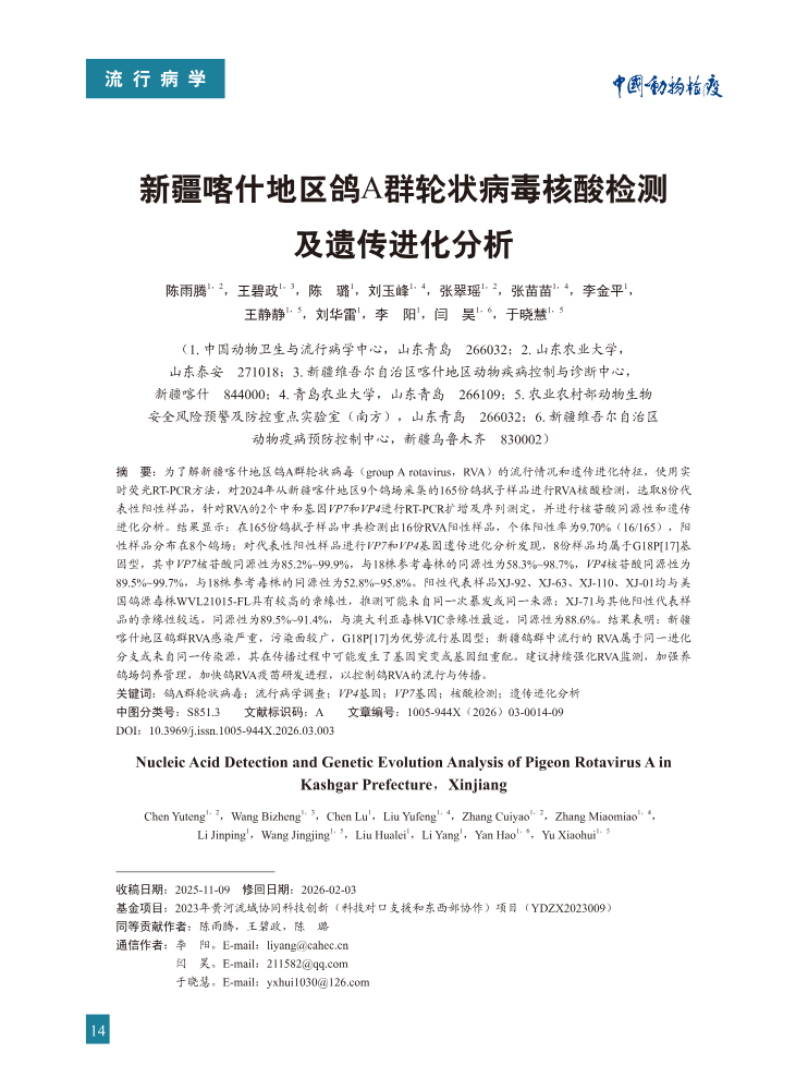 3-新疆喀什地区鸽A群轮状病毒核酸检测及遗传进化分析