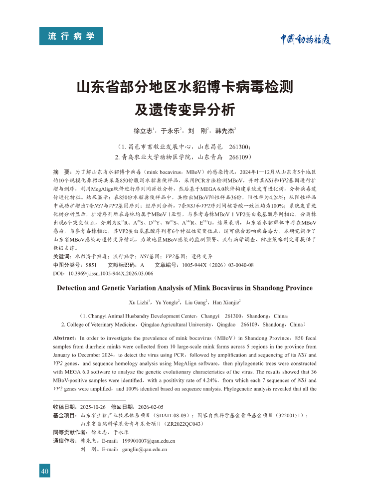6-山东省部分地区水貂博卡病毒检测及遗传变异分析