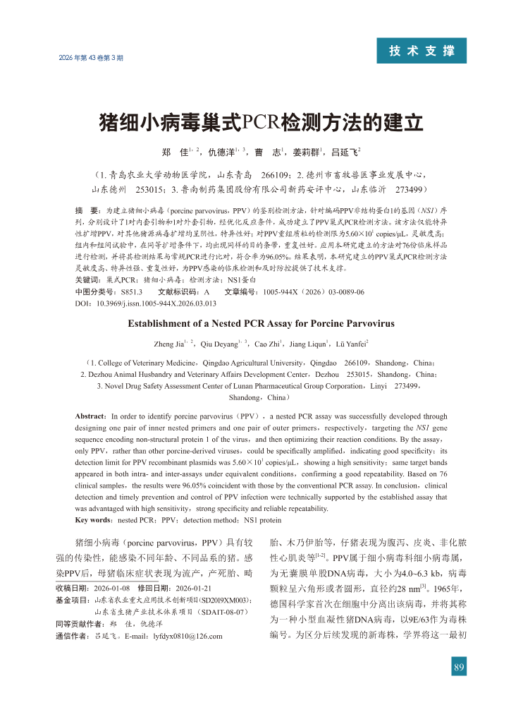 13-猪细小病毒巢式PCR检测方法的建立