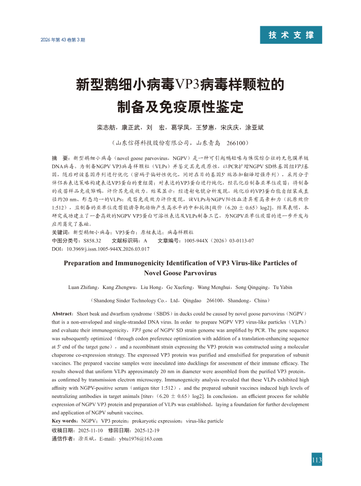 17-新型鹅细小病毒VP3病毒样颗粒的制备及免疫原性鉴定