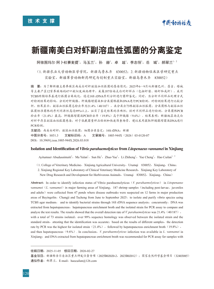 18-新疆南美白对虾副溶血性弧菌的分离鉴定