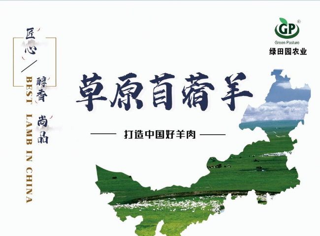 苜蓿羊肉宣传册