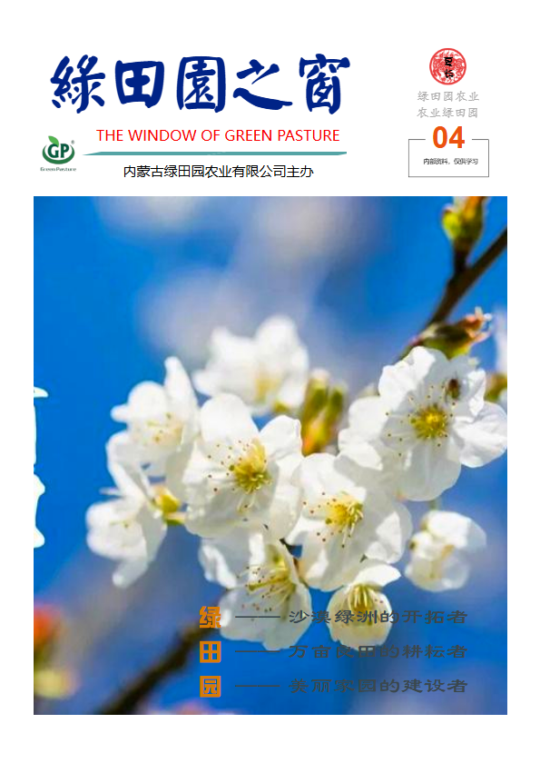 绿田园之窗202504期