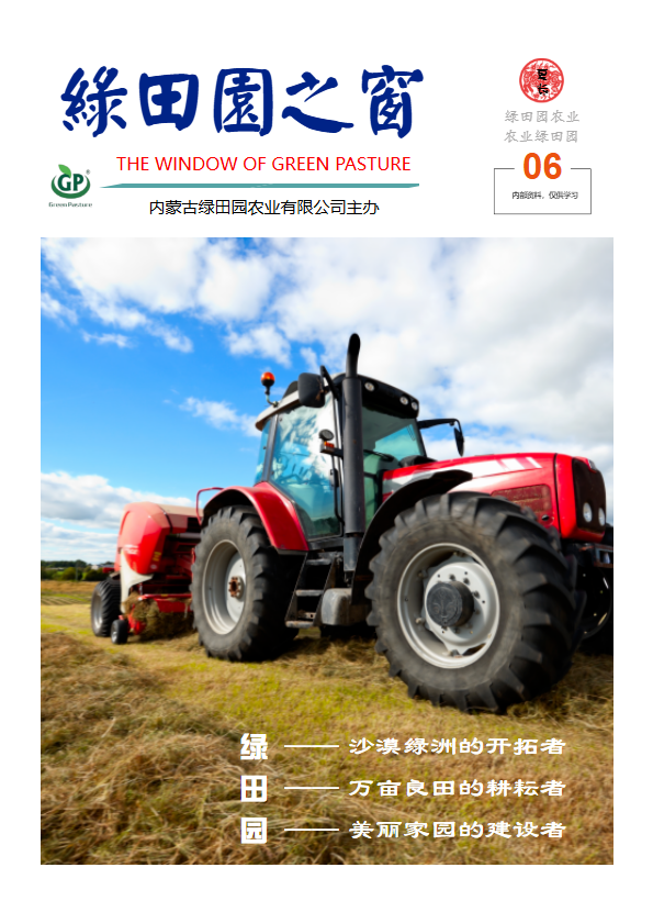 绿田园之窗202506期