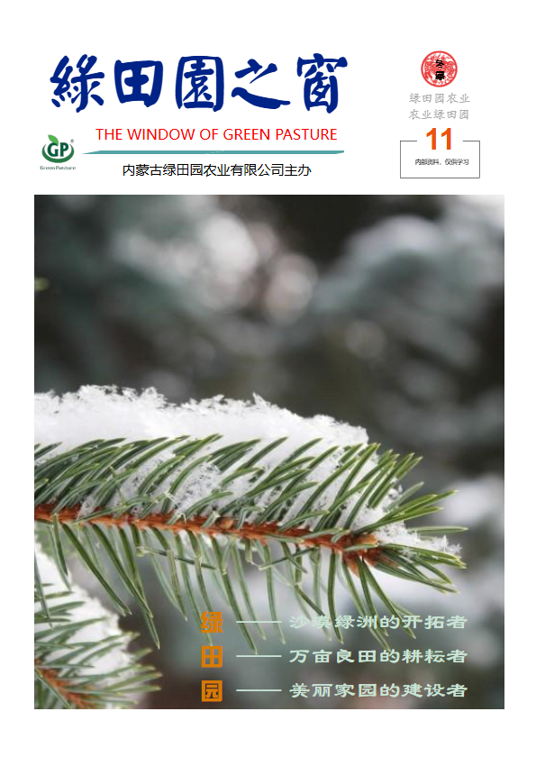 绿田园之窗202511期