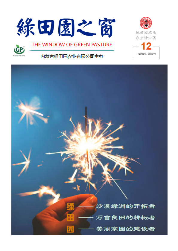 绿田园之窗202512期