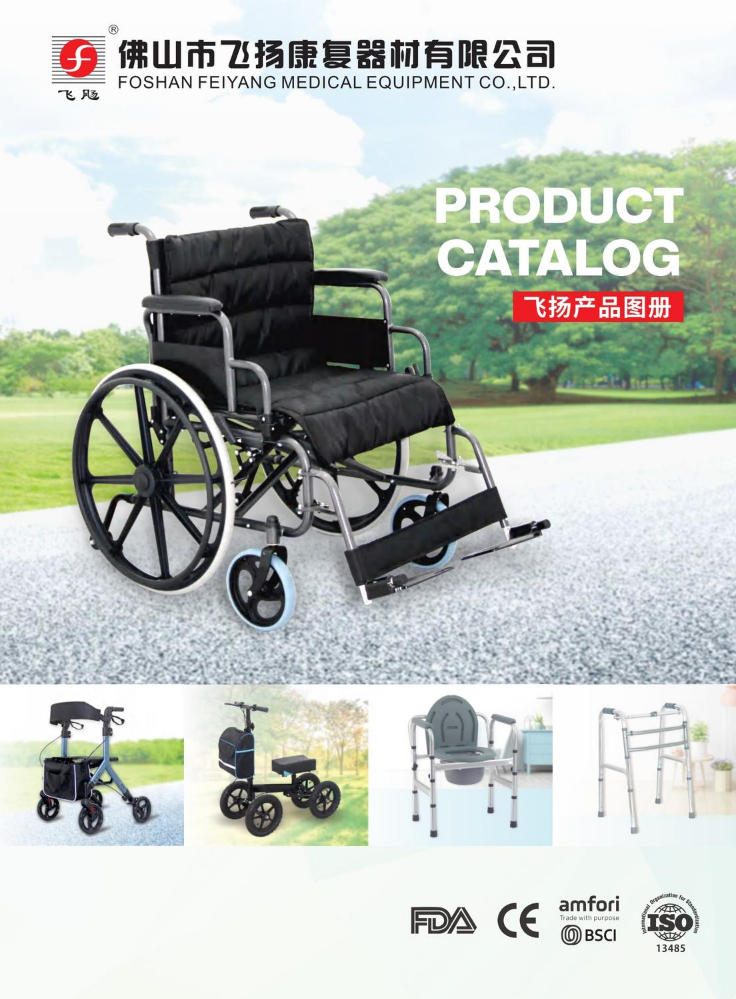 Feiyang Med Catalog 2025(2)
