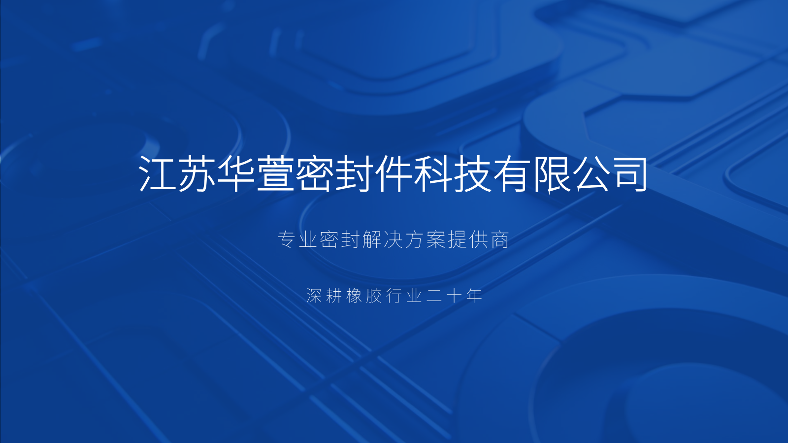 华萱密封件PPT (2)_20260409013028