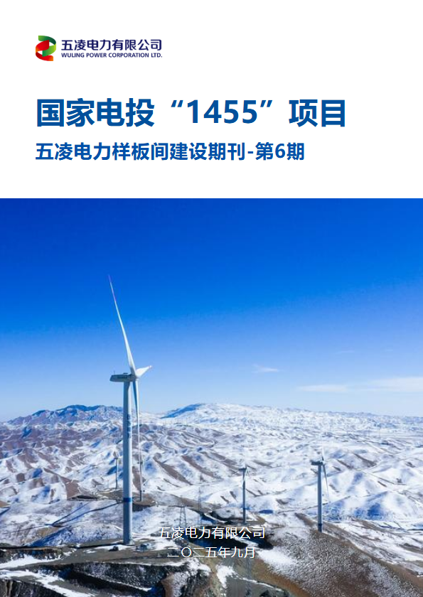 集团“1455”五凌电力项目期刊-第六期_副本