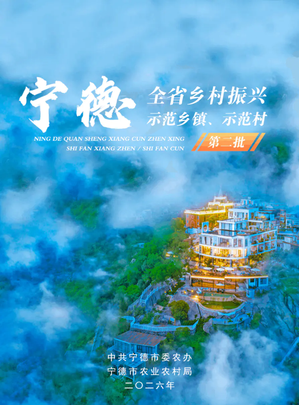 宁德市全省乡村振兴经验汇编_副本