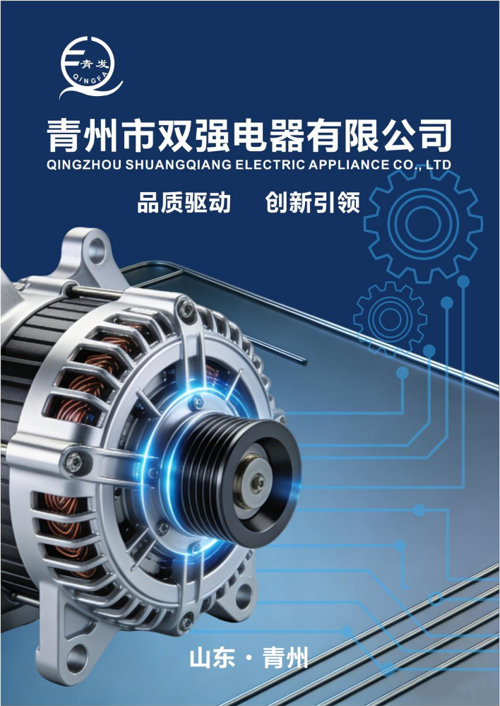 青州市双强电器有限公司画册