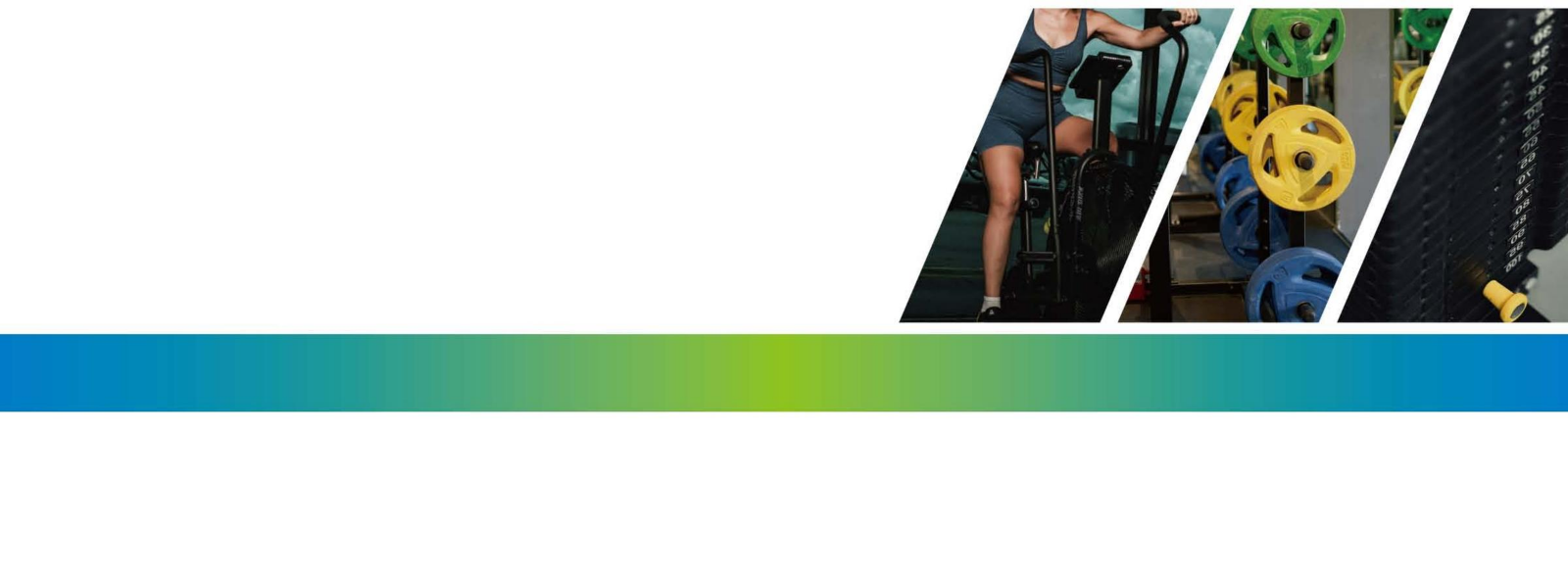 Chahang Gym equipment