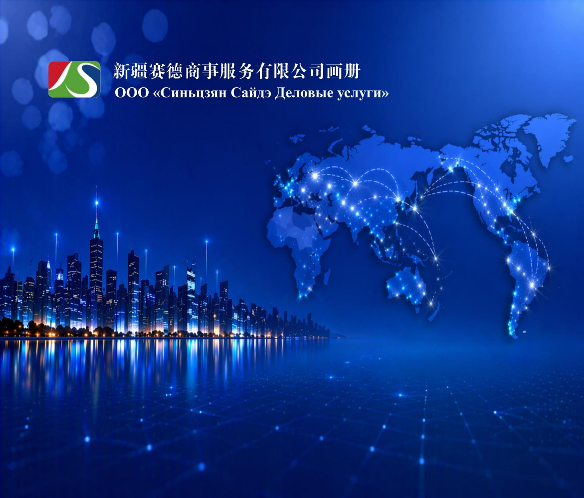 新疆赛德商事服务有限公司画册