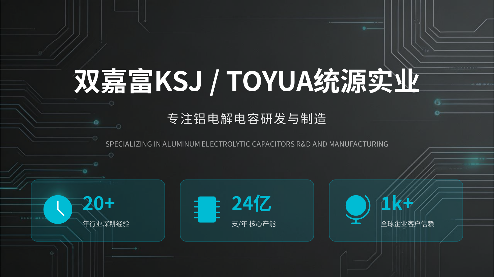 铝电解电容企业简介 (1)