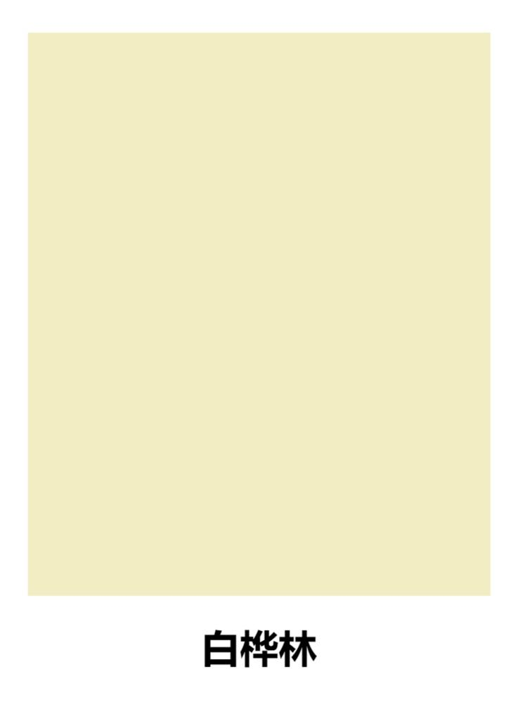 沪上焕彩 彩·明亮