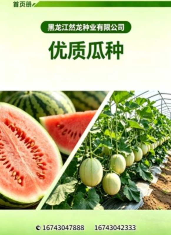 黑龙江然龙种业有限公司产品册