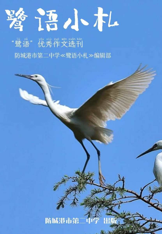 鹭语小札 | 2026年春季学期第一期