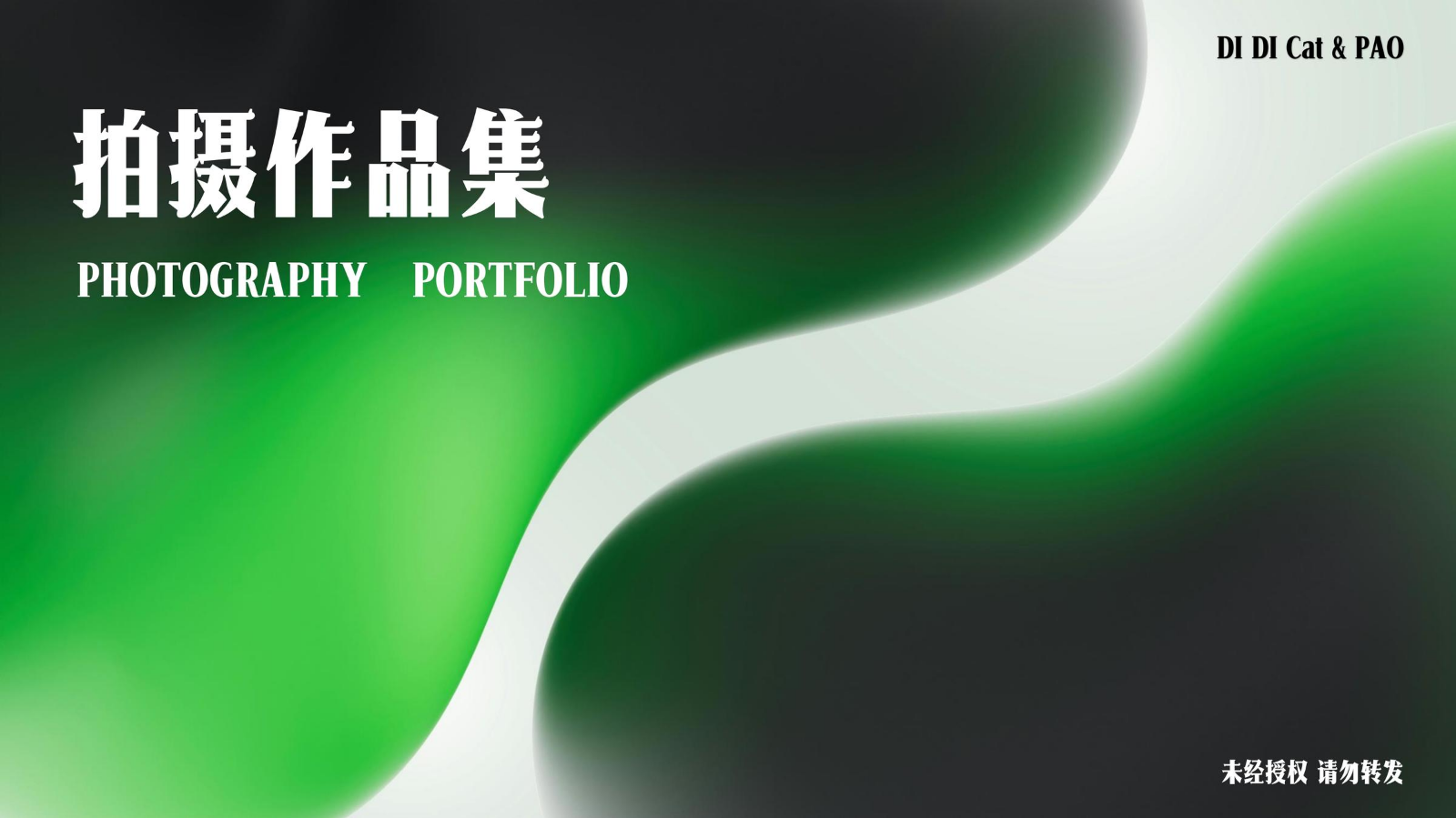 迪迪猫 作品集