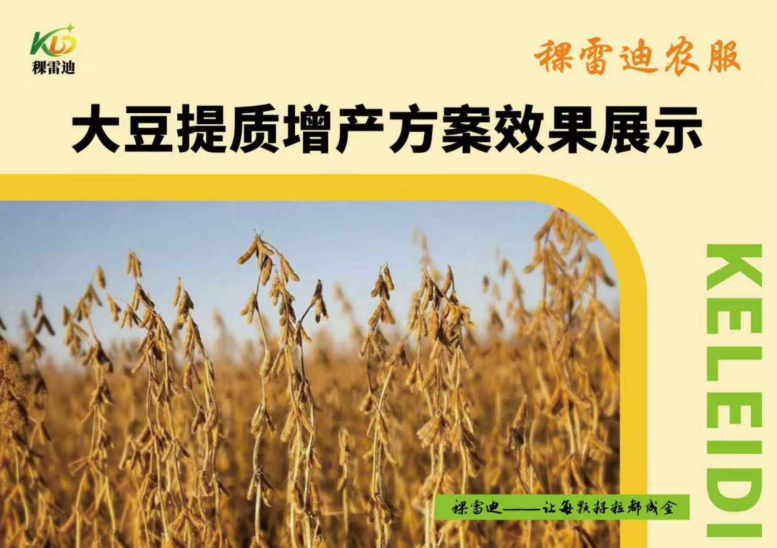 稞雷迪大豆提质增产方案效果展示
