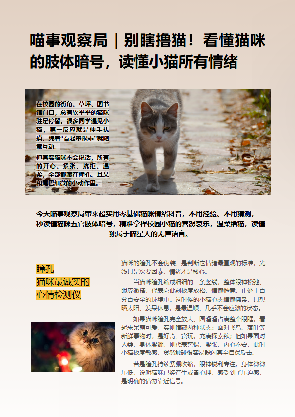 简约电子杂志模板