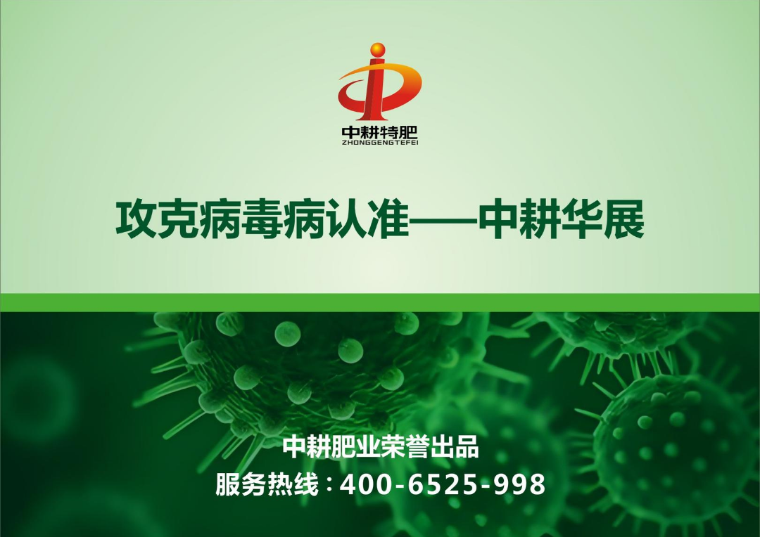 攻克病毒病认准——中耕华展