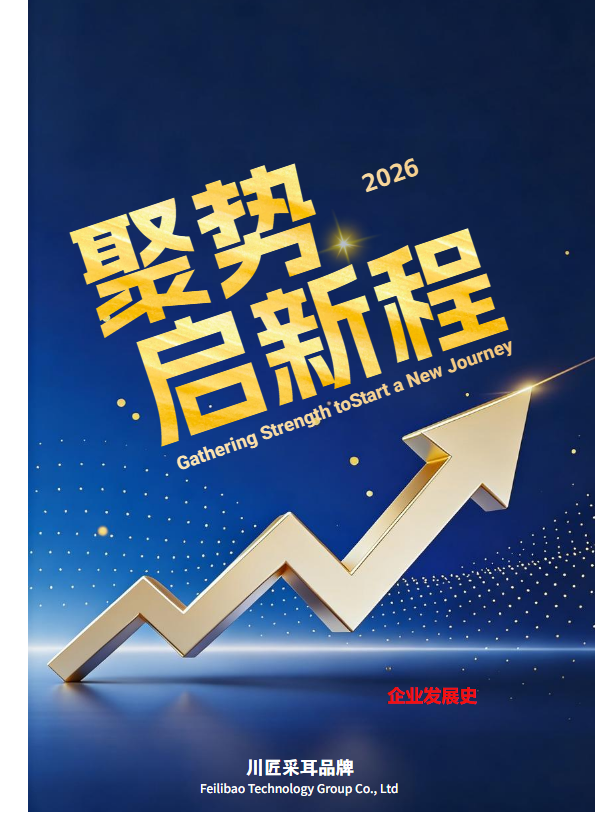 企业发展史