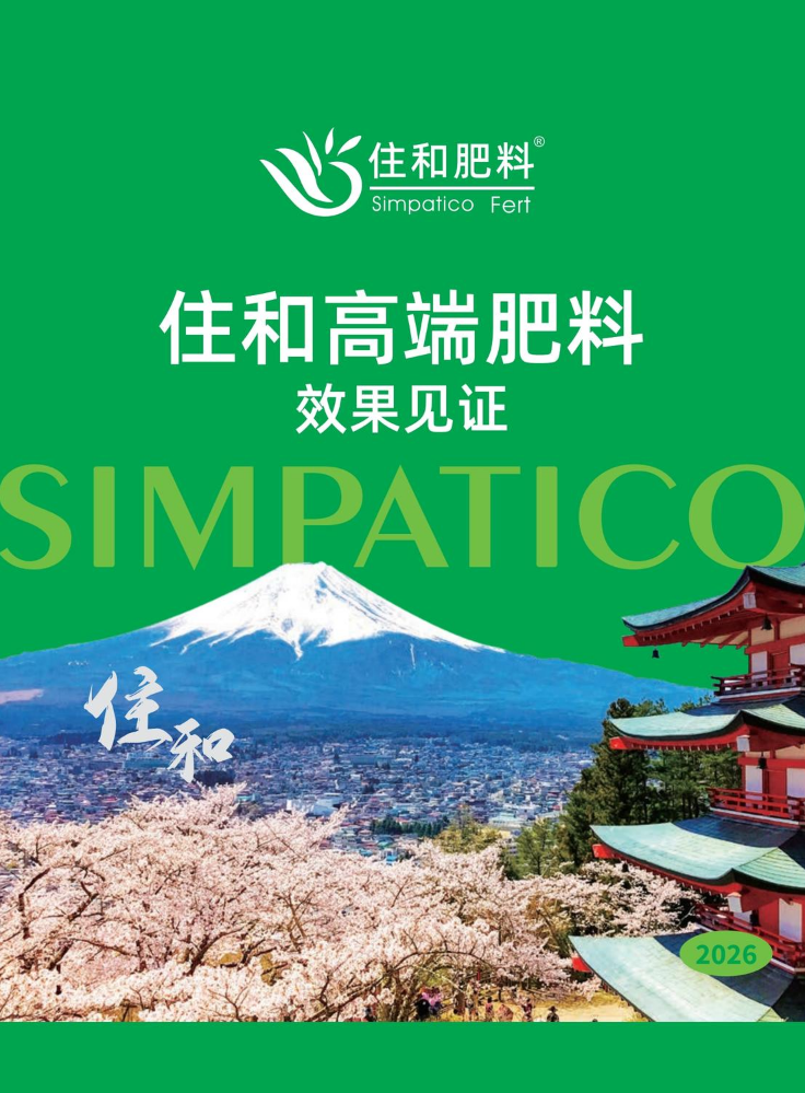 20260429 住和市场素材手册