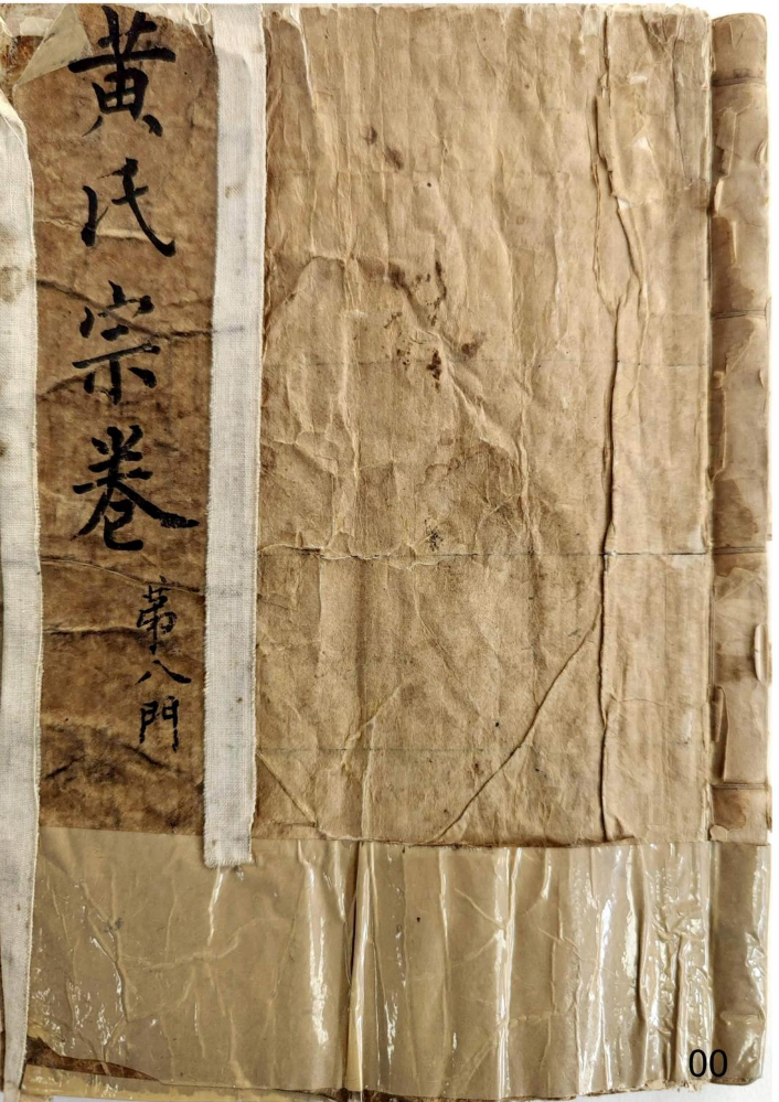 族谱