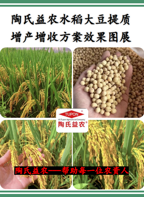 陶氏益农水稻提质增产增收方案效果图展示