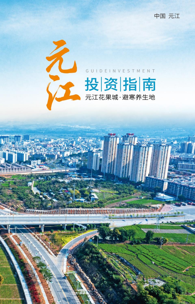 2026元江投资指南