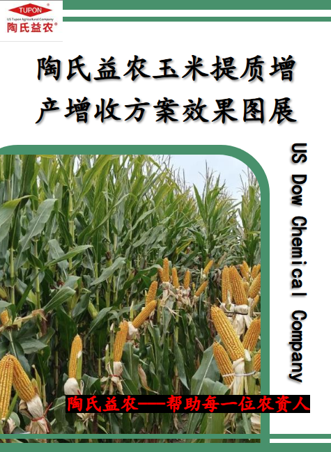 陶氏益农玉米提质增产增收方案效果图展示