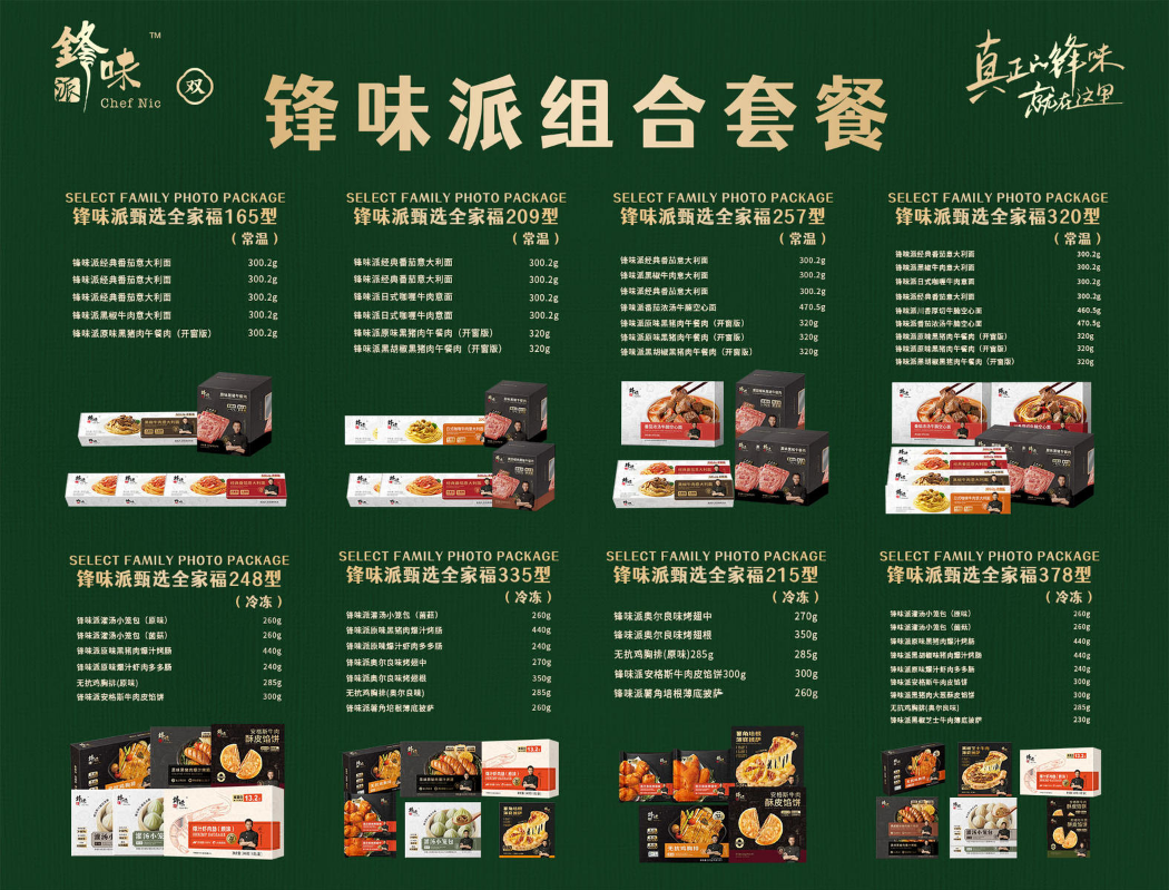 浙江双辉电子手册