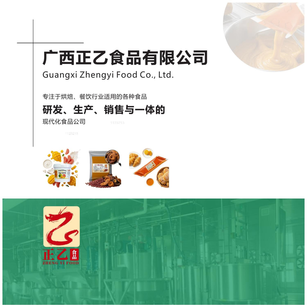 正乙产品画册（转曲）(1)