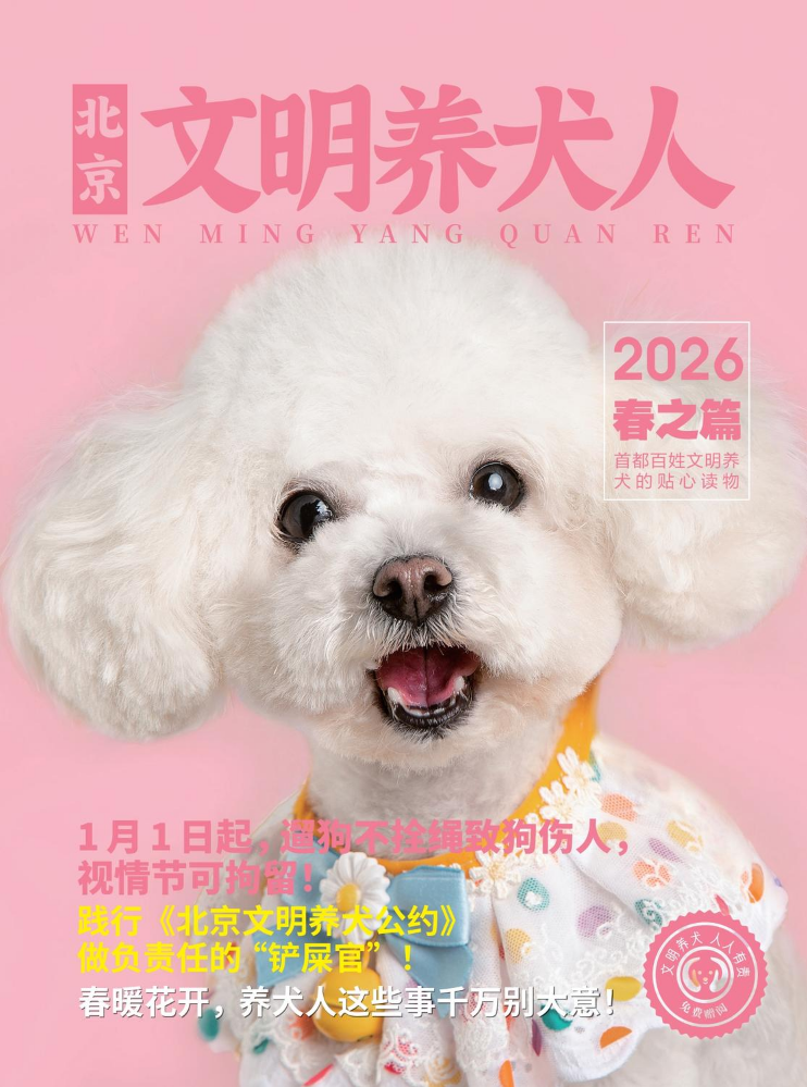 2026春季版杂志印刷
