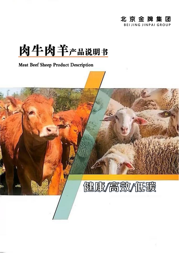 金牌肉牛肉羊产品说明书