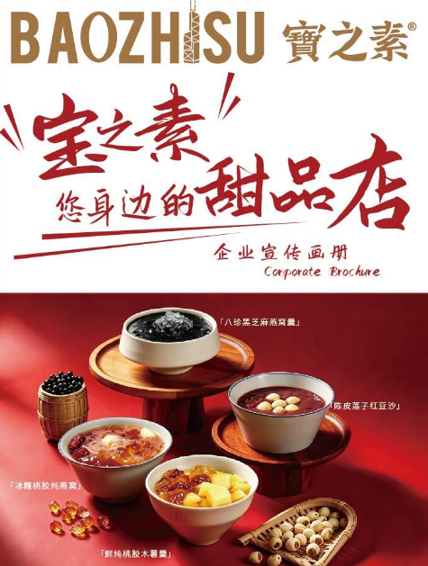 26宝之素产品宣传画册