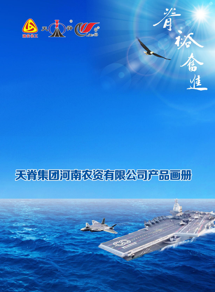 天脊集团河南农资有限公司产品画册
