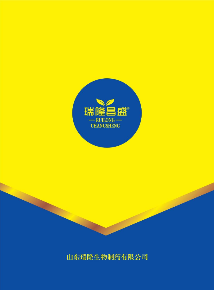 2026瑞隆画册
