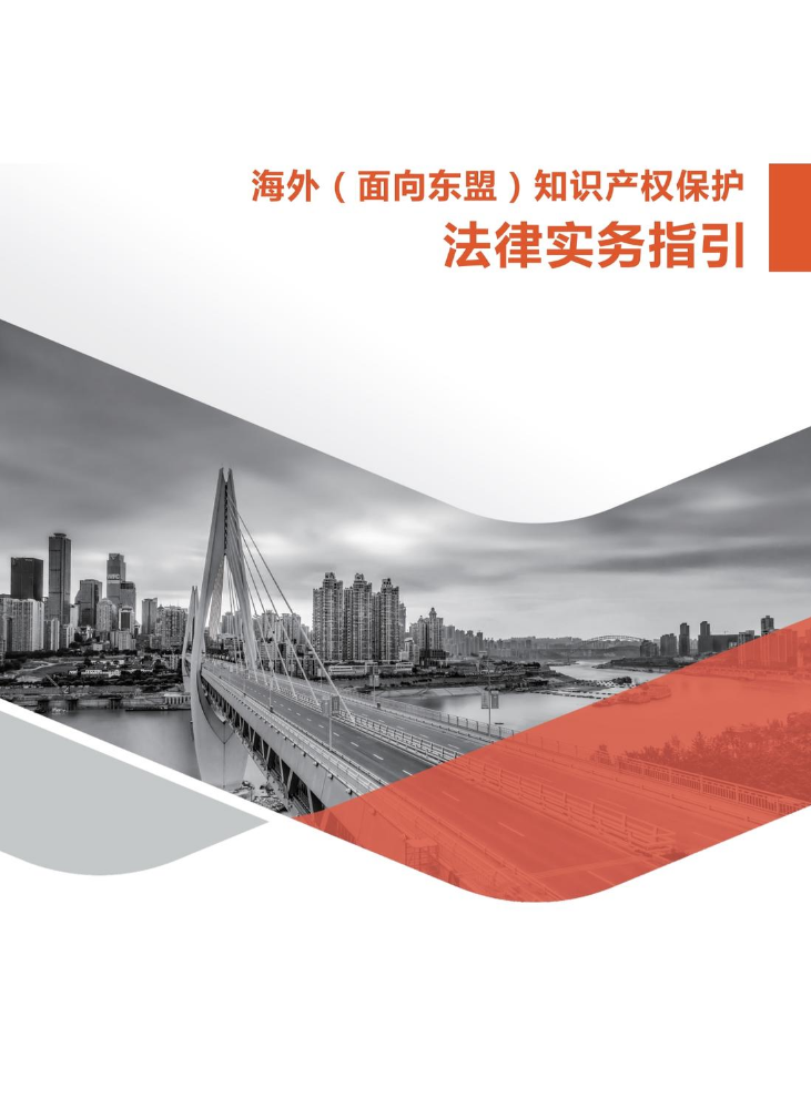 04.海外（面向东盟）知识产权保护法律实务指引