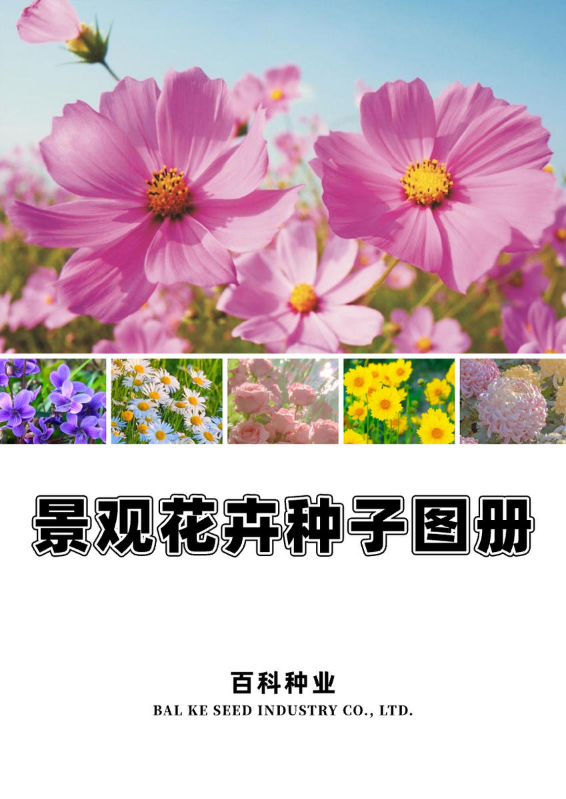 百科种业