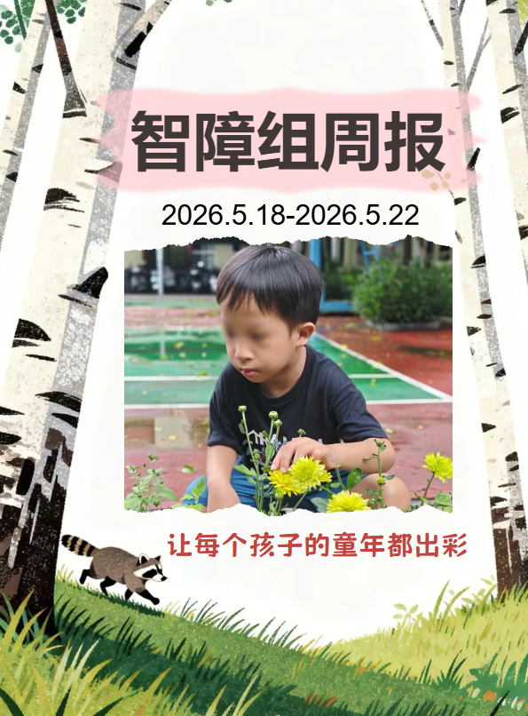 智障组周报（2026.5.18-22）