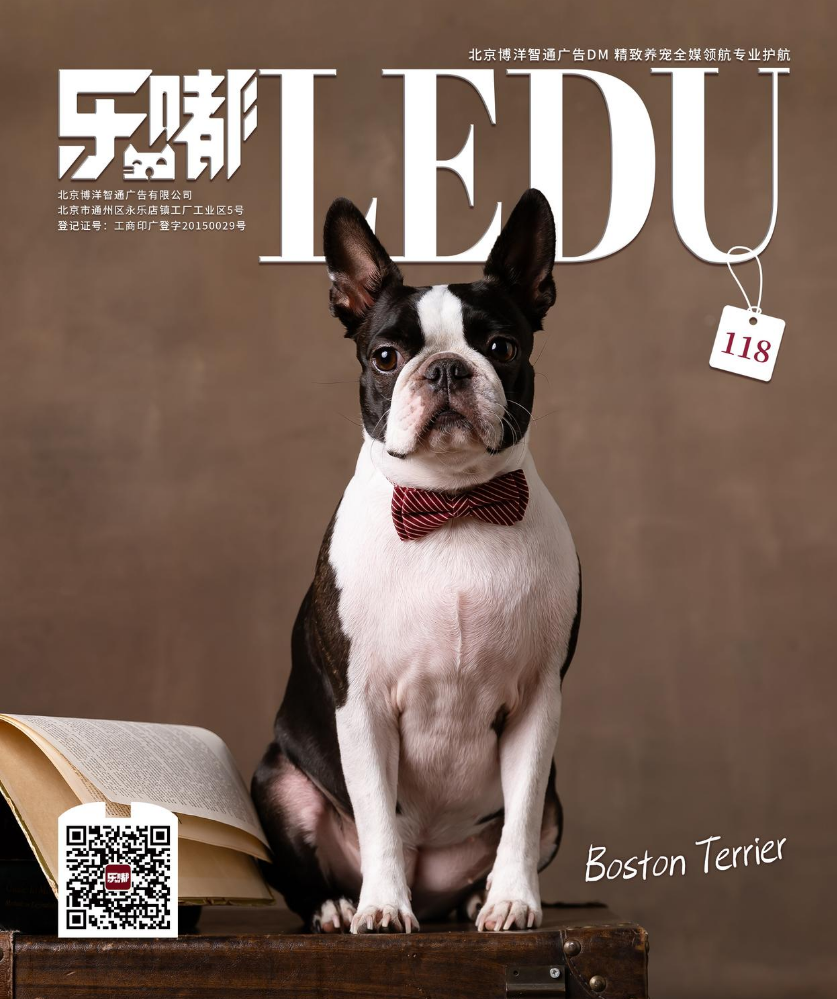 乐嘟宠物圈DM118期