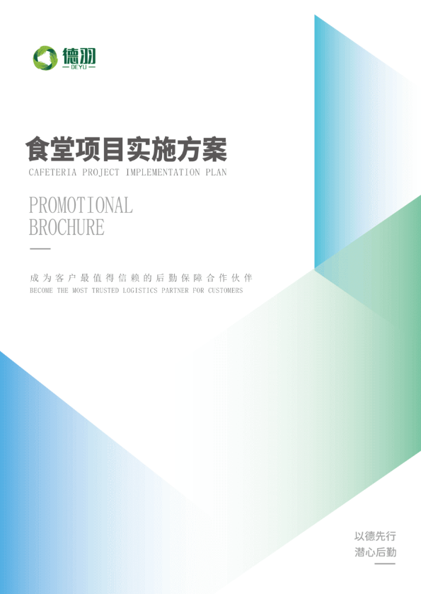 项目实施方案
