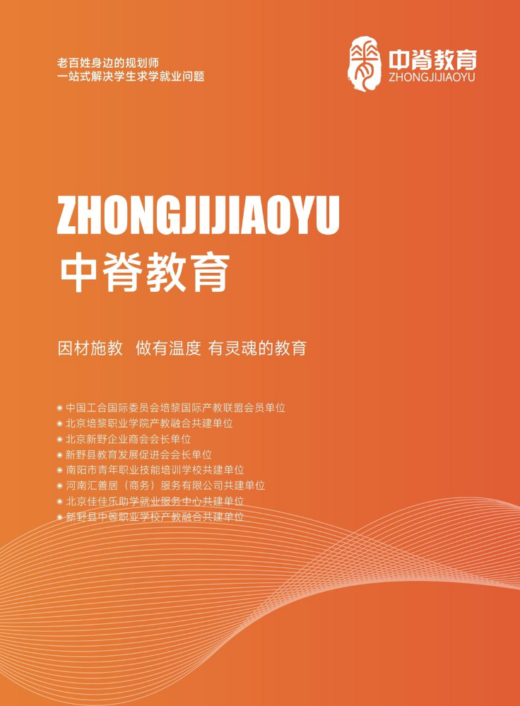 中脊2